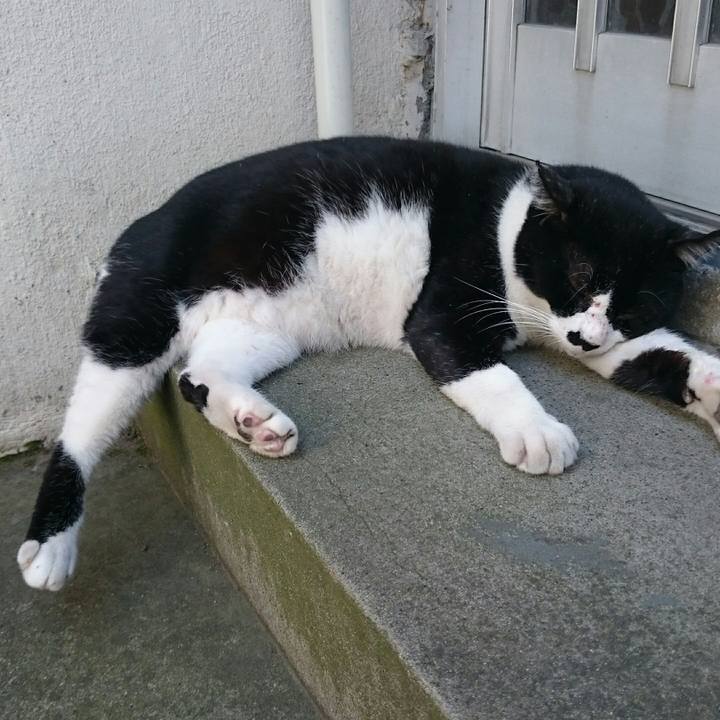 Dbf1807e a60e 4fbf 8316 6f296ef4d936