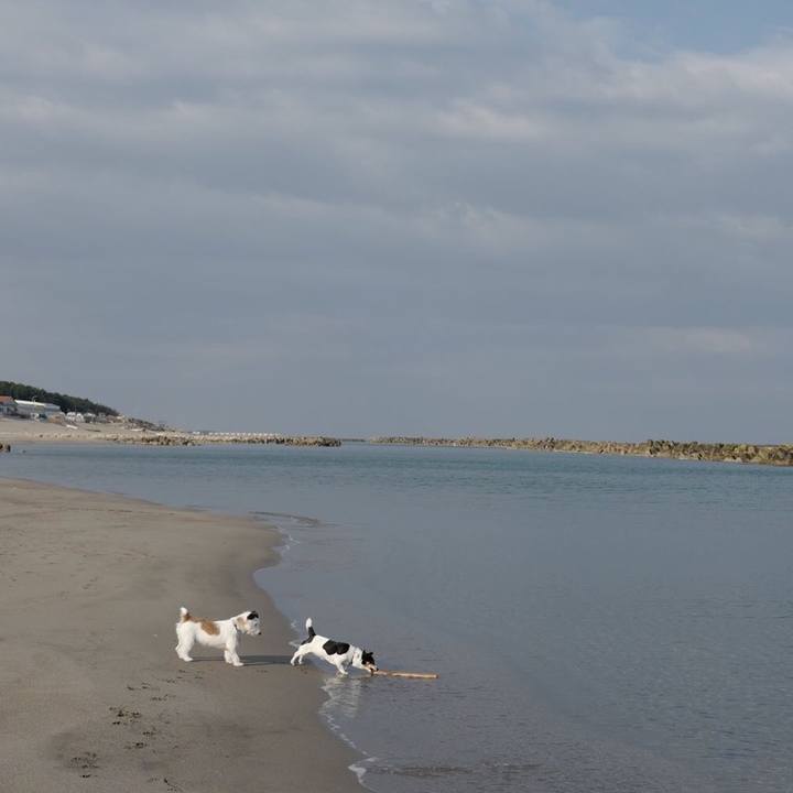 Dbf184e7 9cc6 4aa0 bb81 4d8b44d31fb0