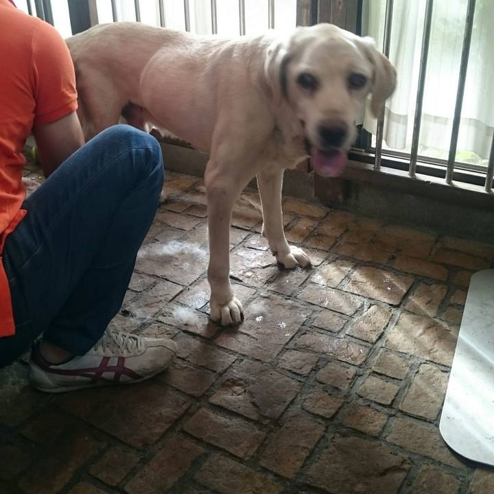 Dbf1950e d742 4f6d a5f9 8b7c8f80da50