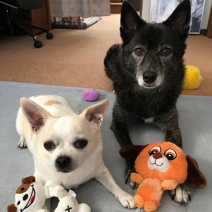 Dbf1ded7 98ed 4fdb ad70 ed1199122018