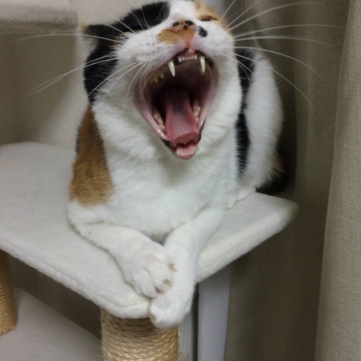 Dbf241a1 4e7a 40d6 98e1 03ca0c372c29