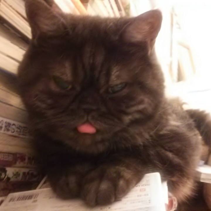 Dbf277f7 1bda 48a2 be09 321bd2387ef7