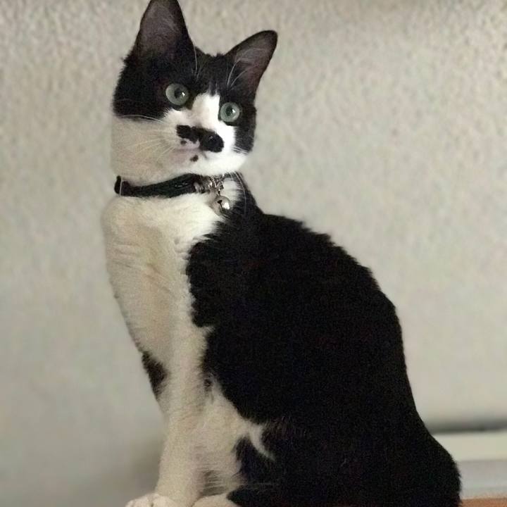 Dbf3b274 bc5b 4869 bffa eda566599216