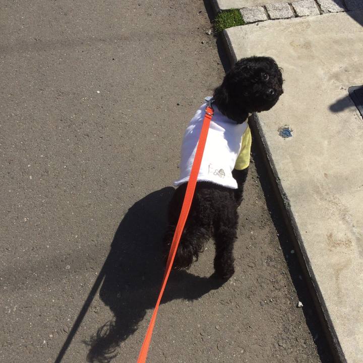 Dbf416d1 0393 4133 89af 80611aa364a1