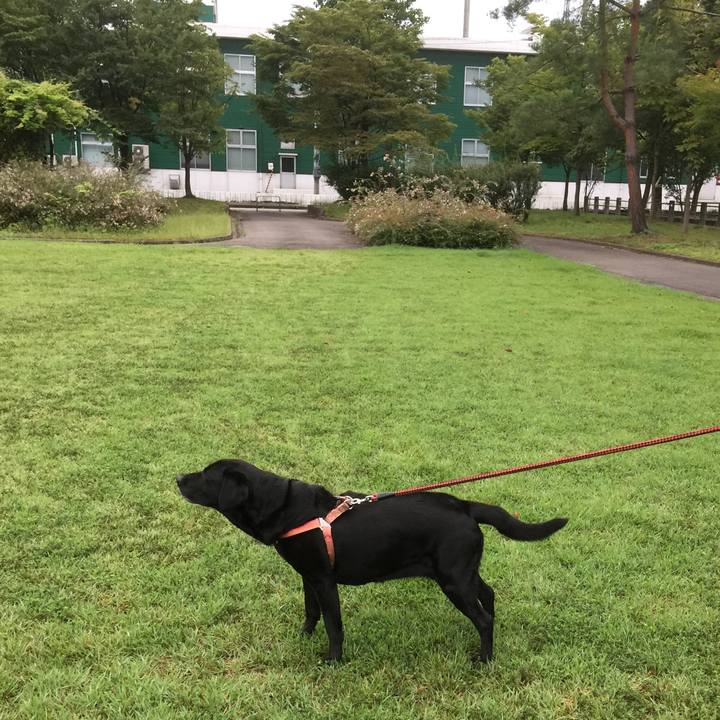 Dbf45606 c013 423d 9250 c04d16b763a1