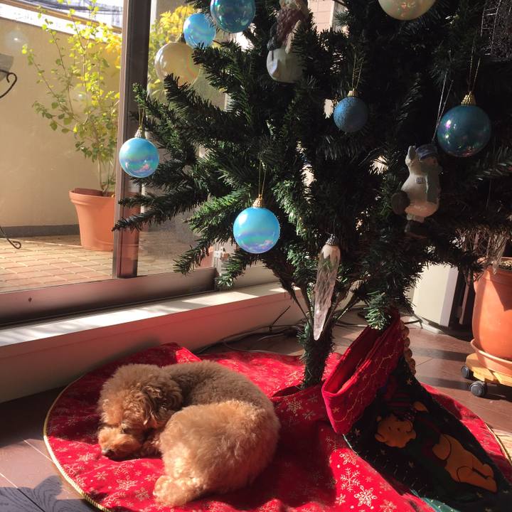 Dbf49205 b58b 4035 9e75 3f84e025ebe2