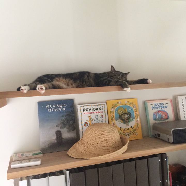 Dbf4c718 b22d 40ed aa5a e9d8b3ed805f