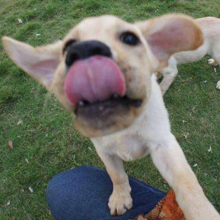 Dbf511d3 52aa 41d2 9be6 fcc074b8797c