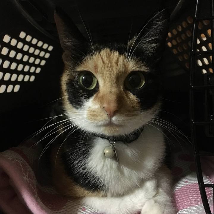 Dbf533a4 0f56 4d31 9e68 4e51e3093787