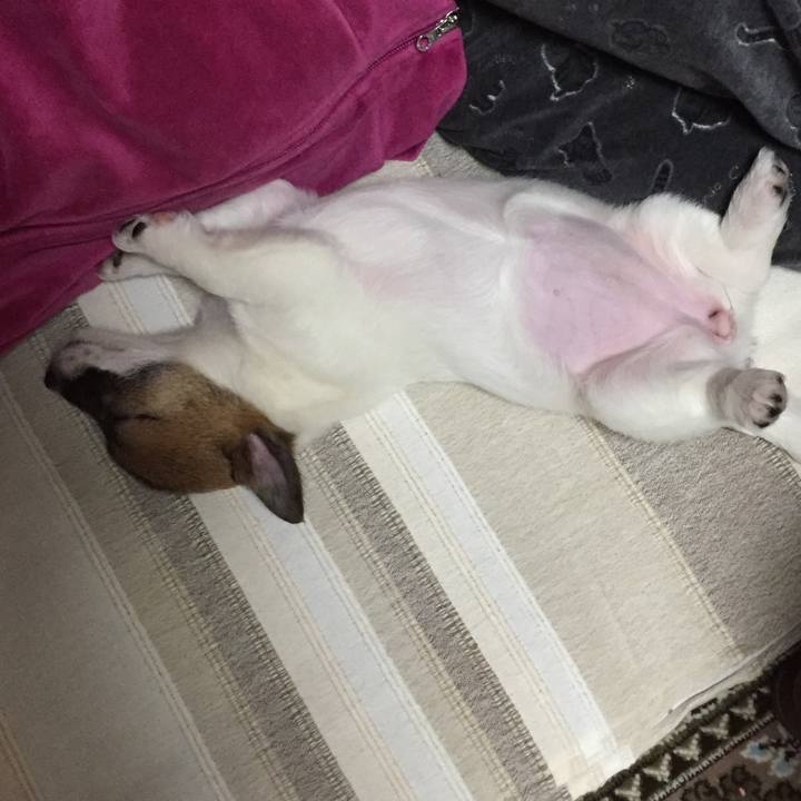 Dbf53d2c 7320 422c aa8a 1398cce064f0