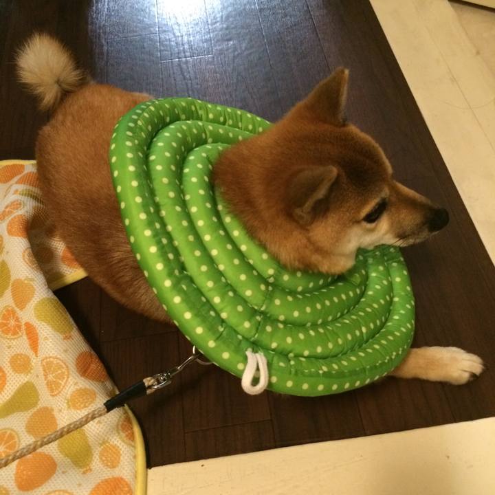 Dbf5624b 27a3 40ff a03d 8225c05981ec