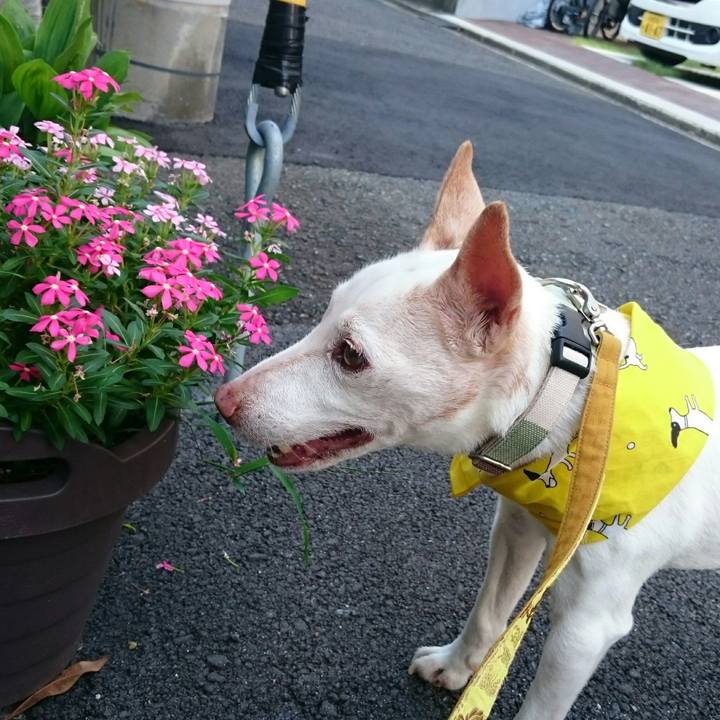 Dbf5b3a5 5d4a 4c5a adfe b7078c6fddfa