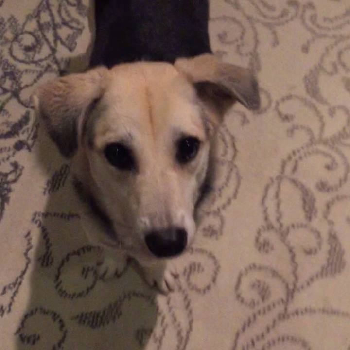 Dbf624d2 7746 4a51 a1a4 7e936e8f3488