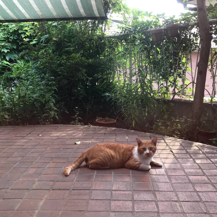 Dbf63d19 7987 4347 aa4a 27647c13c1e6