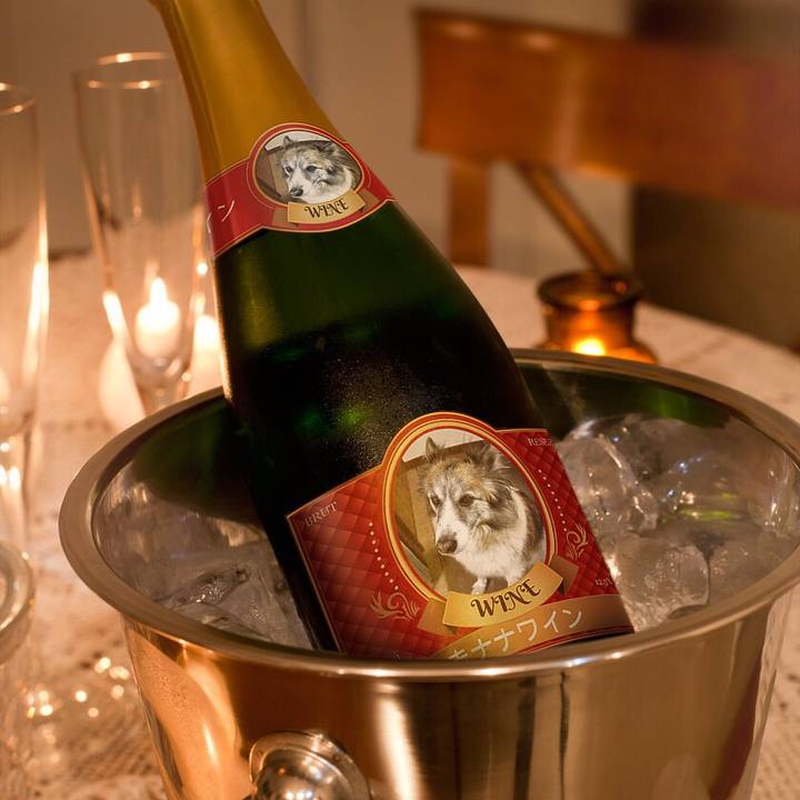 Dbf73c8a ac32 4eb5 a222 f3c2623cf83b