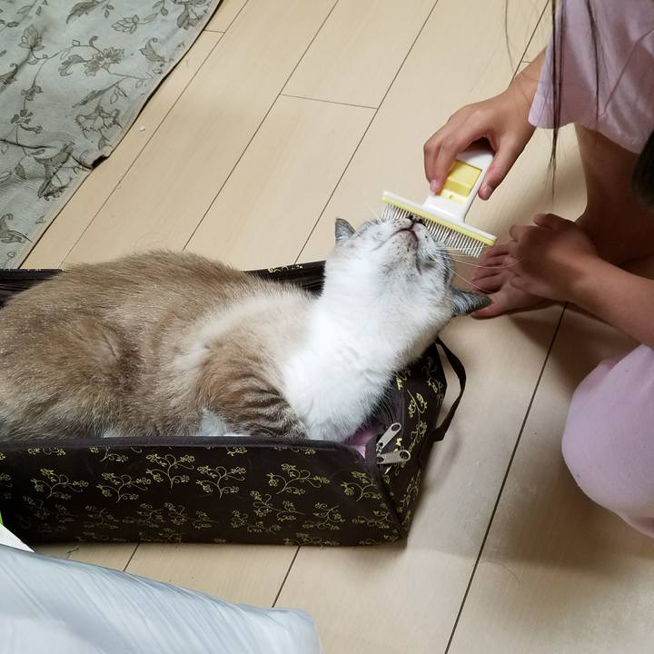 Dbf7b394 a6de 440f 864b a6a690ab2bdc