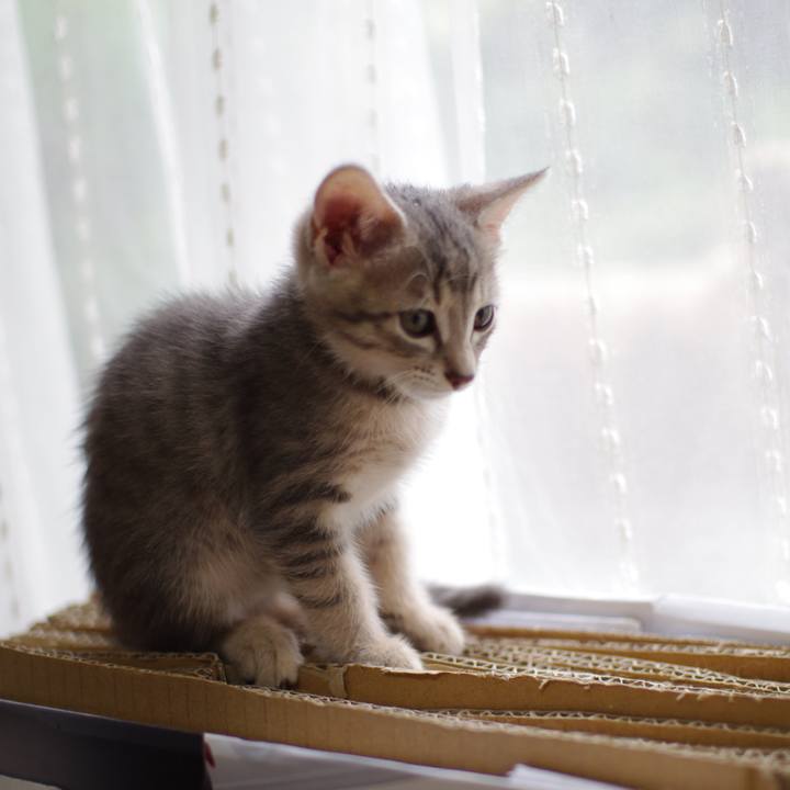 Dbf9e674 8512 47bd 913d 0dec97221220