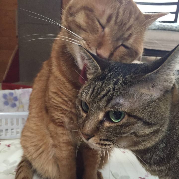 Dbfa0897 7b72 44be 8d01 f7f76707f64c