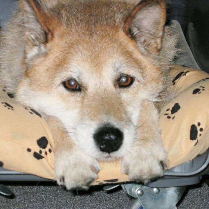 Dbfaf6c7 05c6 4a1b af40 9f78b4b628b7