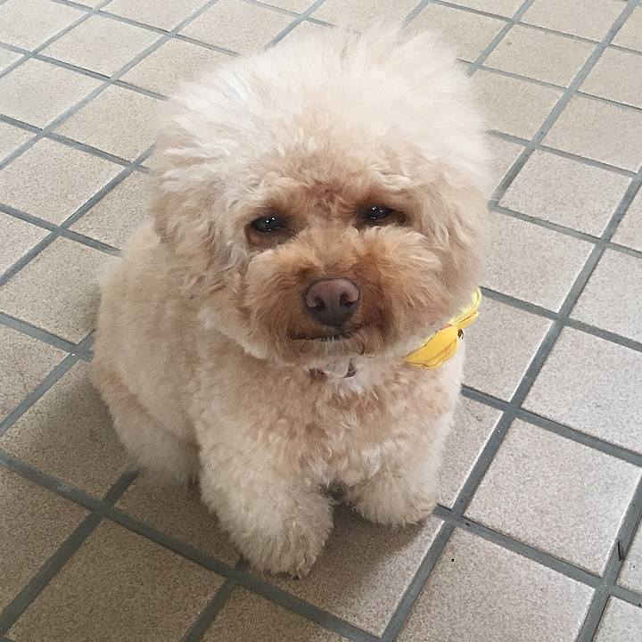 Dbfb811c b6a2 4f96 8da7 a8cf716004c4