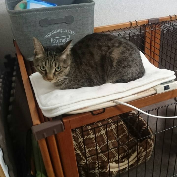 Dbfbb852 f3e8 456d 8a63 9cab73a28eff