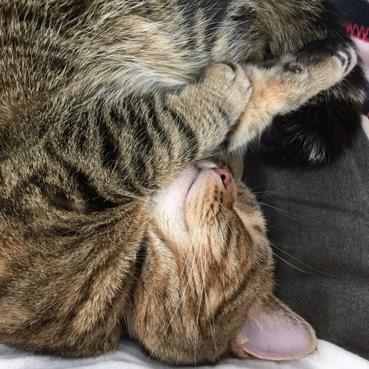 Dbfbe689 678d 4782 a44b aac97ce1d701