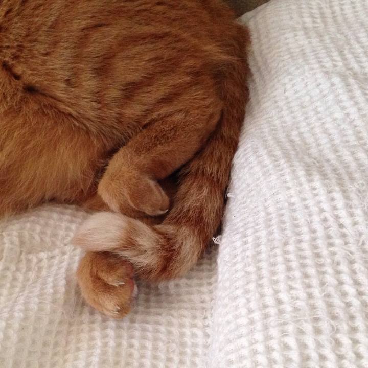 Dbfc2856 b136 44e3 acab 52108e2df758