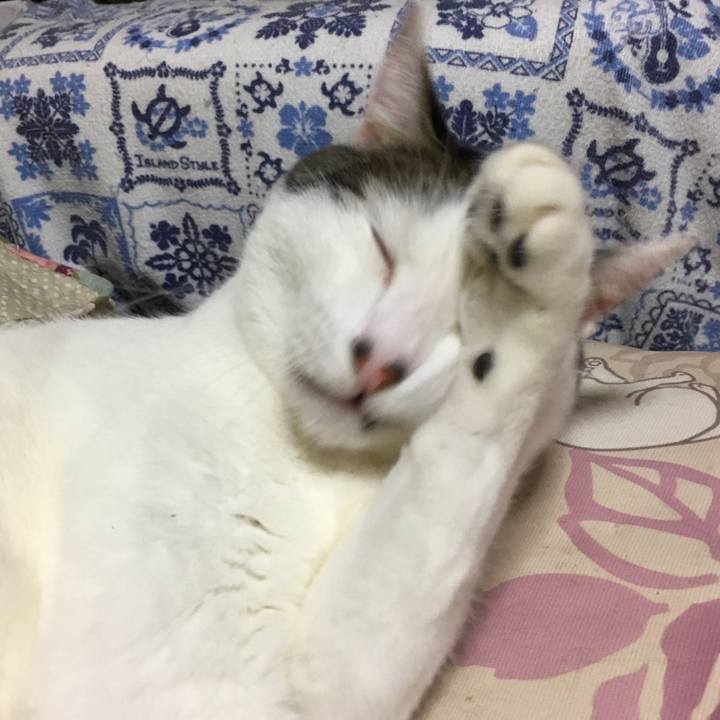 Dbfc7bd0 22ec 4637 9dc3 e340da6b3dee