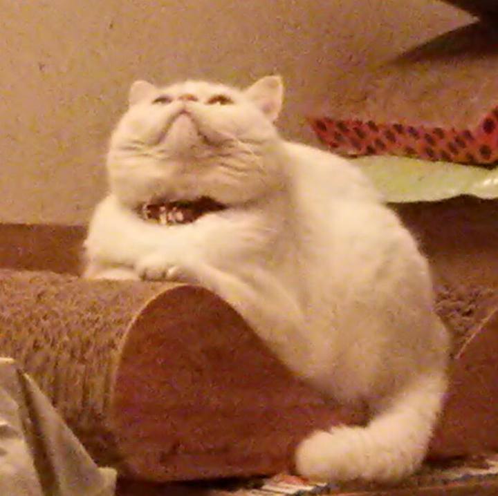 Dbfccf5d 815c 4c26 b753 1be074a0e997