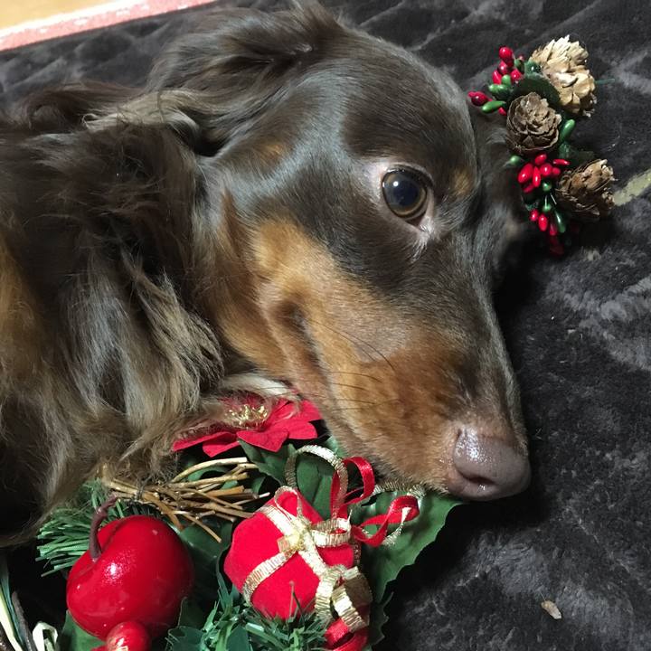 Dbfcfca2 742f 4dbc af7f 9fa79b0897fd