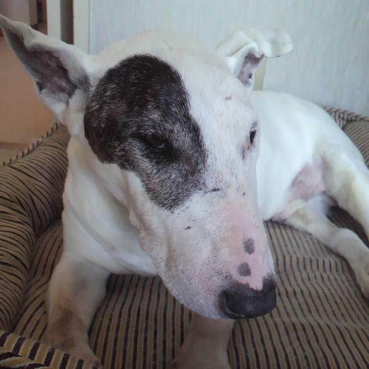 Dbfd118d 54dd 4cd4 b676 e89e68cefbfe