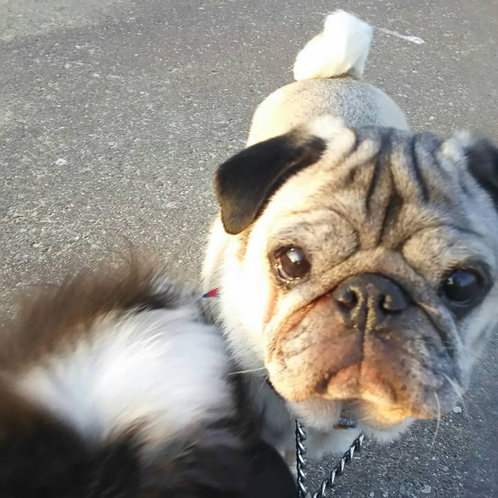 Dbfd44ff 686d 47df bc9d c029e390ffd9