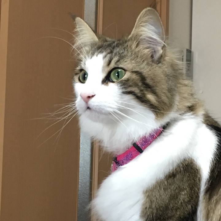 Dbfd812d 8274 4d8f bc61 4e2c3354eace