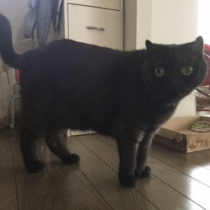 Dbfe206b 3e5e 4e79 976d 3295234811de