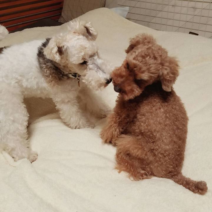 Dbfe7c14 4a2e 4220 bd3d c62dc6505576