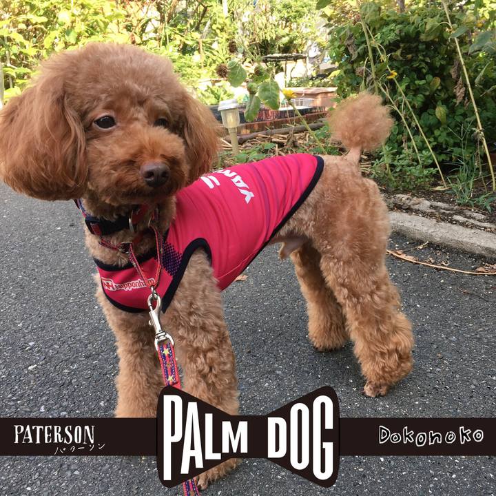 Dbff46ce 4b19 482c ab97 1d876863a018