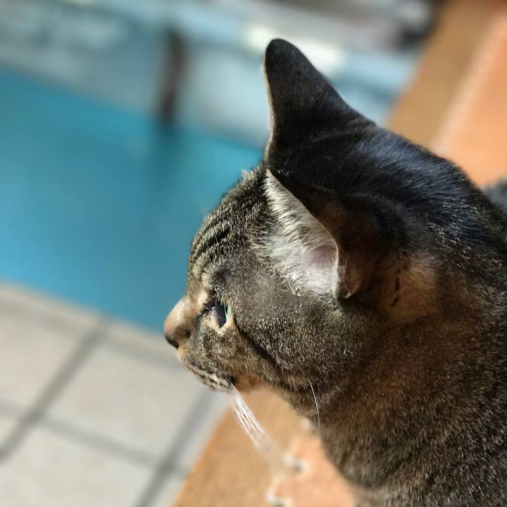 Dbffdcd8 7a0e 4b4e ba63 b99650b0fedb