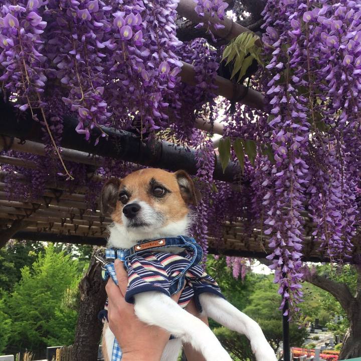 Dbffe0a0 0e23 4342 a884 d3f972b631b8