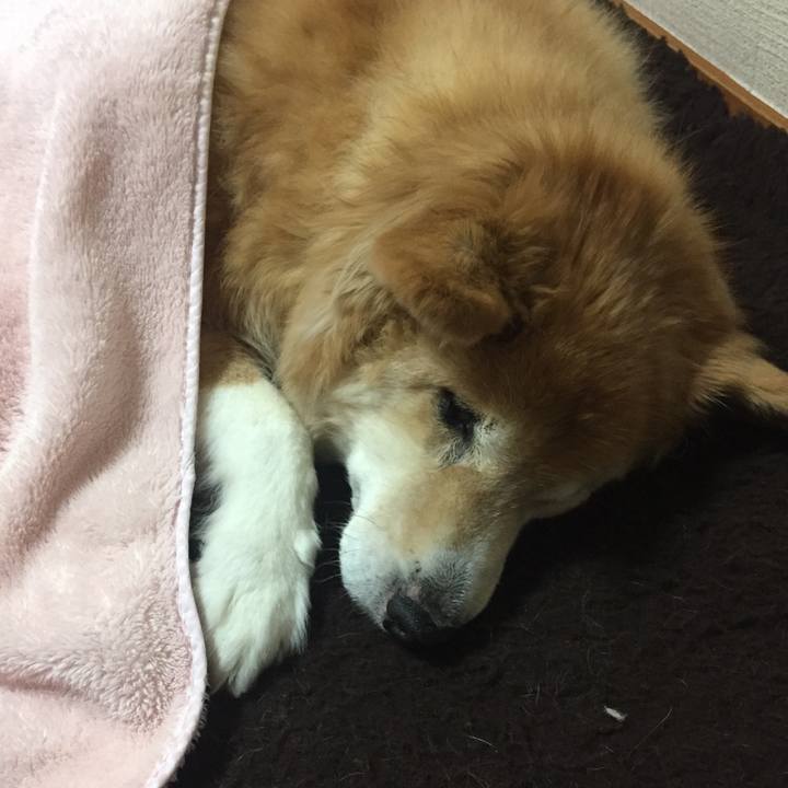 Dc0012f6 5701 4656 bba1 b82ffeb000a1