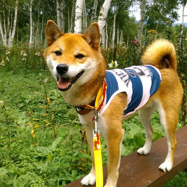 Dc004920 d823 47ff a3be c68424cfa6c3