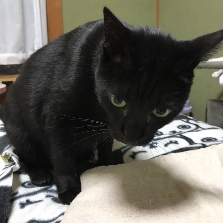 Dc00e8f3 53f2 40bf 8a90 37f484c96c78