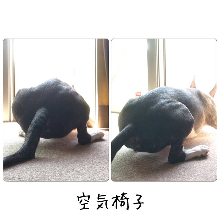 Dc0113dd 6c86 4e19 b890 b6d41d4faa77