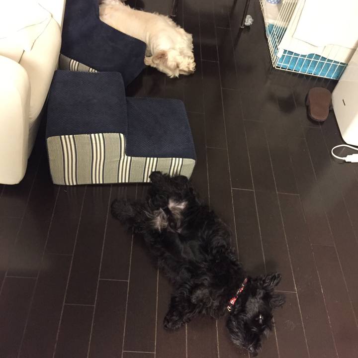 Dc01e8dd 326c 469a ac79 bd23734069d7