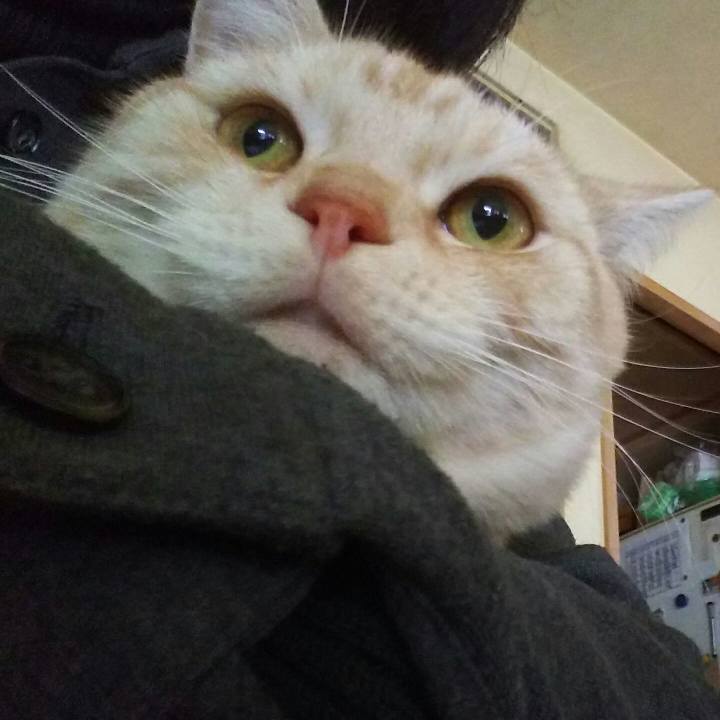 Dc029862 4c4a 4c95 8bdf 3b494710b036