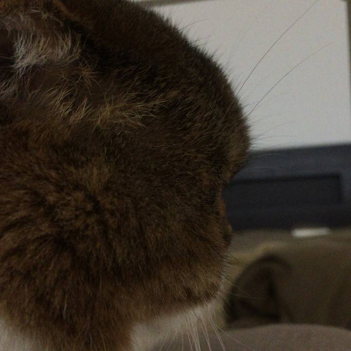 Dc034089 8821 42fd a184 db8a11ca4292