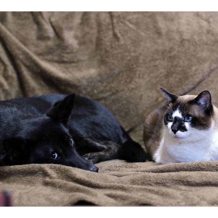 Dc035290 4202 43ad 9354 df85684177e8