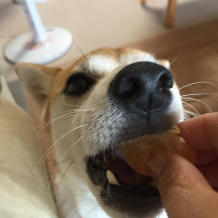 Dc03c64f 4bbb 434c 96ee 70cd376d393b