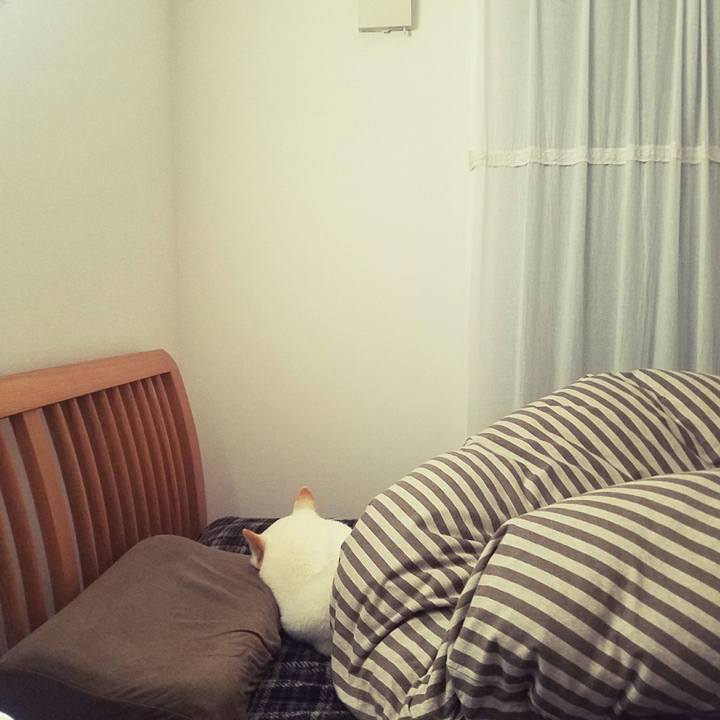 Dc04239d 575a 4f70 8342 22676200a15d