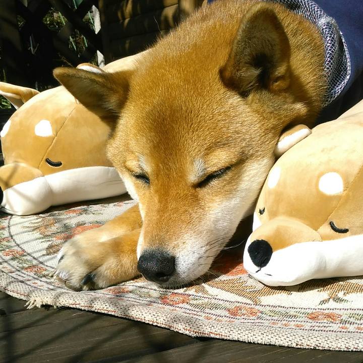 Dc047d09 b57c 469e 9fbe c70108545c79