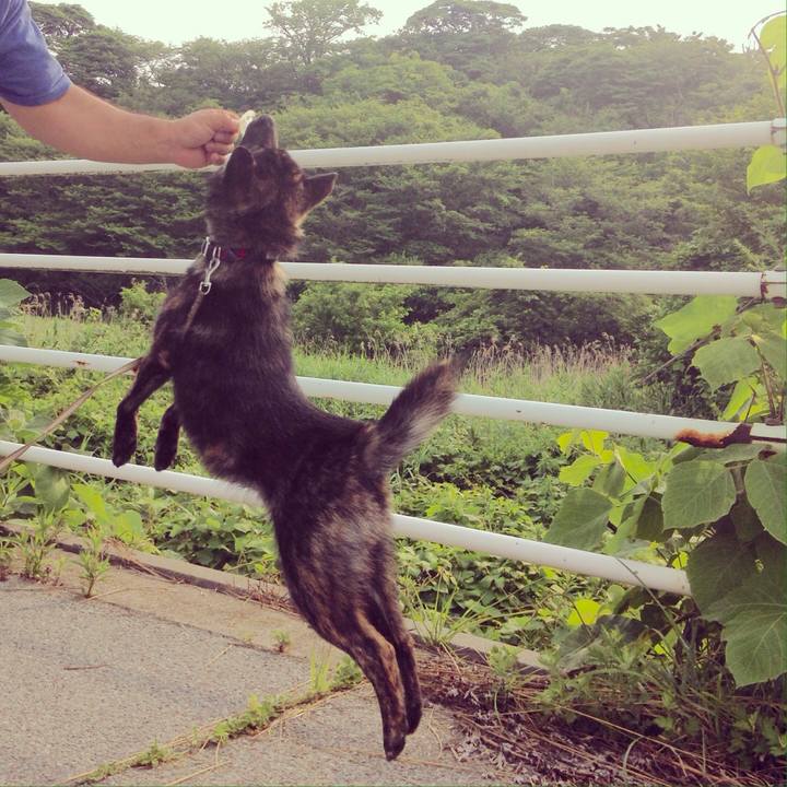 Dc04f9f7 3993 4de2 ac2e f1f90082ee41